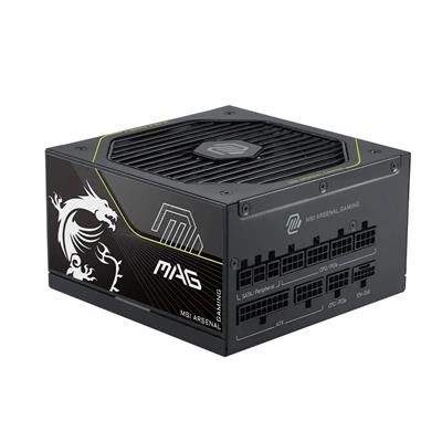 MSI 1000W PLATINUM FM MAG A1000PLS